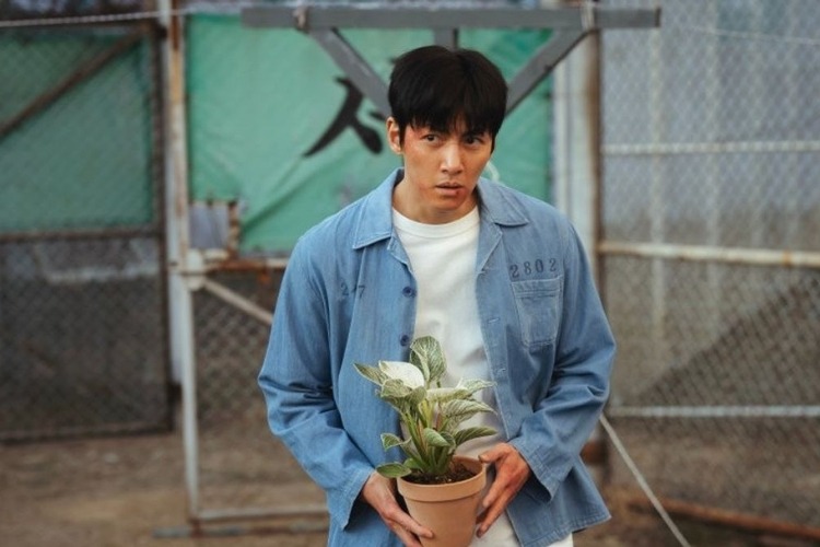 Review The Manipulated