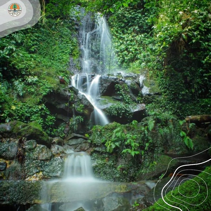 Taman Nasional Halimun Salak terancam rusak parah. Terdapat 411 lubang penambangan emas dan ribuan pondok kerja di kawasan tersebut/Foto: instagram.com/kemenhut