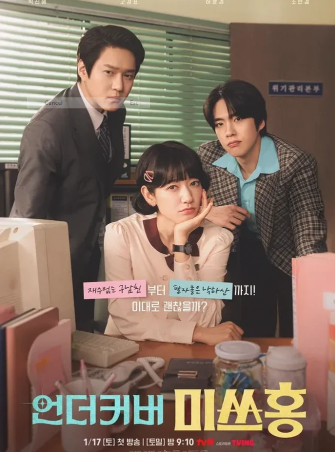 Undercover Miss Hong/ Foto: tvN