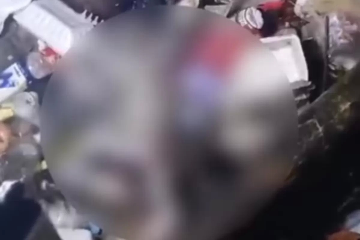 Bayi Ditemukan di Sampah Banyuwangi: Kronologi Lengkap