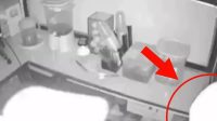 CCTV Ungkap Kronologi Pencurian Es Teler Banyuwangi