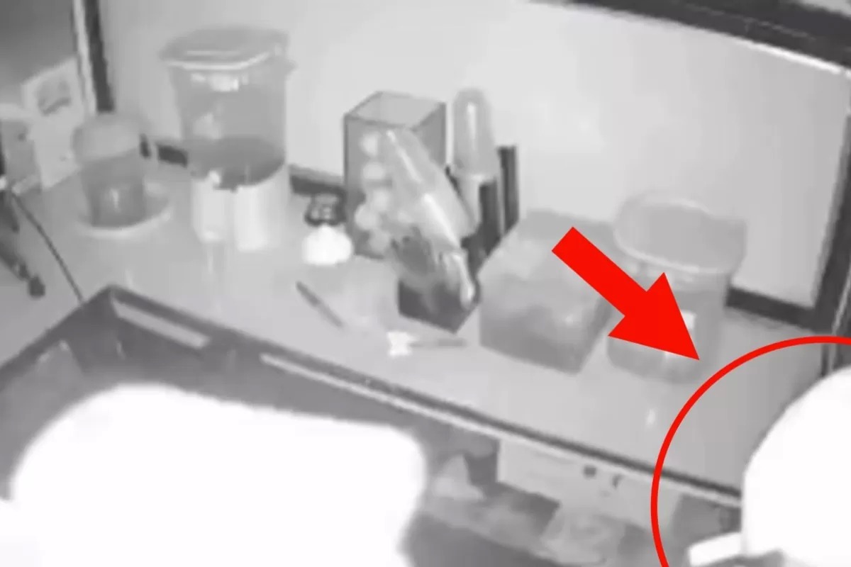 CCTV Ungkap Kronologi Pencurian Es Teler Banyuwangi