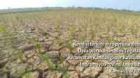 Indramayu Siaga Antisipasi Kekeringan Akibat El Nino di Jabar
