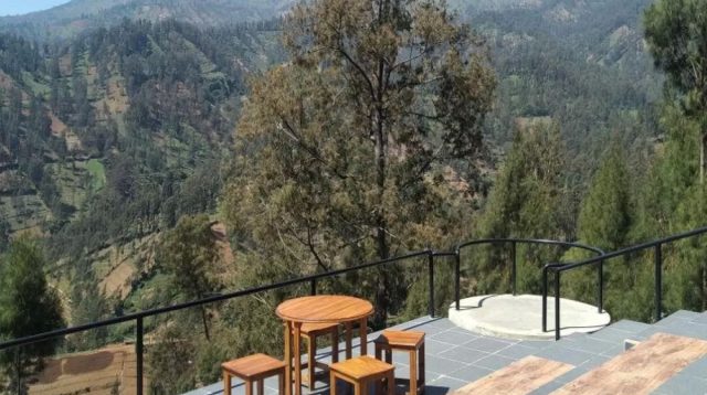 Kafe Edelweiss Wonokitri: Aktivitas Seru Pengunjung