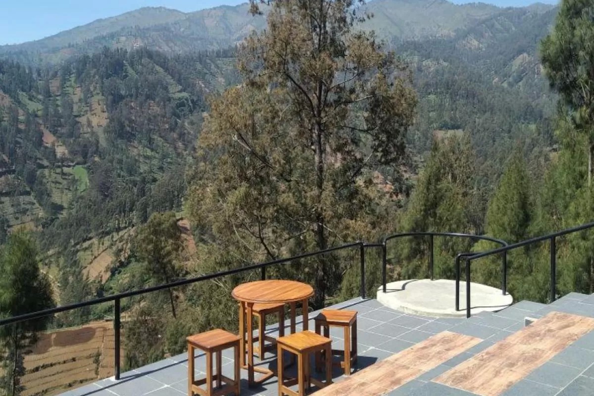 Kafe Edelweiss Wonokitri: Aktivitas Seru Pengunjung