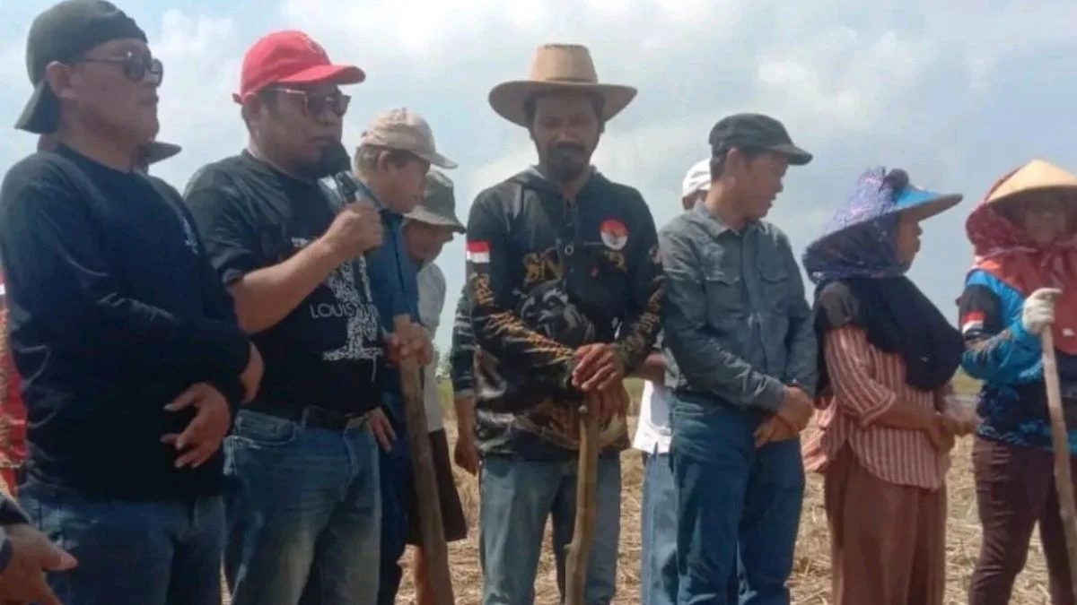 Kedelai Mandiri Semakin Dekat, Indramayu Unggulkan Diri untuk Nasional