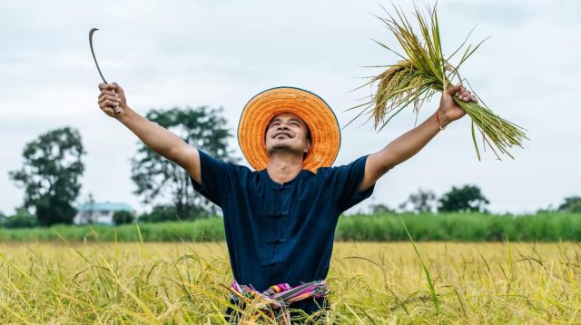 Lamongan Antisipasi Kemarau 2026: Jaga Ketahanan Pangan