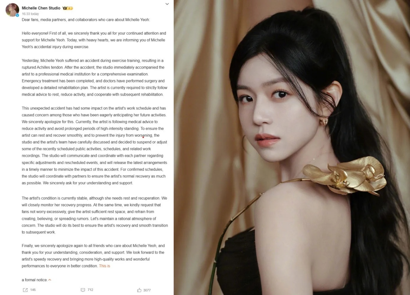 Michelle Chen - copyright: weibo.com