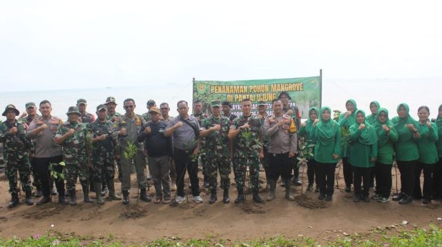 Persit Indramayu Tanam 150 Mangrove, Peduli Pesisir