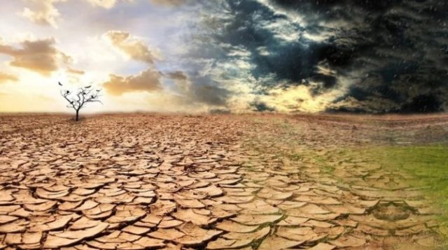 Petani Indramayu Diminta Siaga Hadapi Kemarau Panjang Akibat El Nino