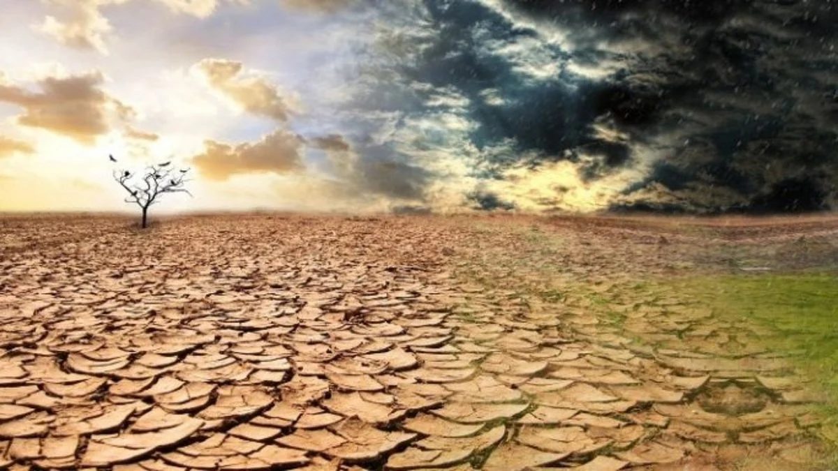 Petani Indramayu Diminta Siaga Hadapi Kemarau Panjang Akibat El Nino