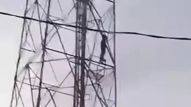 Pria Panjat Tower BTS Sukodono: Identitas & Motif Terungkap