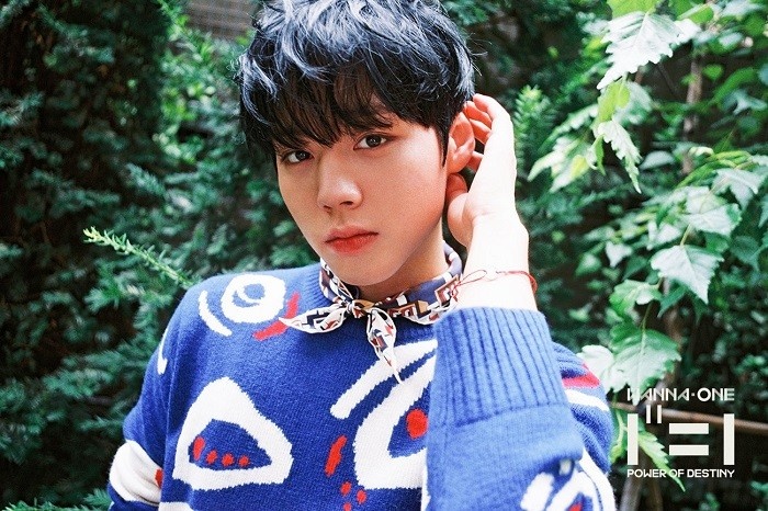 Park Ji Hoon era Wanna One./ Foto: x.com/WannaOne_twt