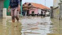Ancaman Rob dan Abrasi, Giant Sea Wall Sebagai Pelindung Pesisir Indramayu