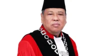 Arief Hidayat: Profil Profesor Emeritus Universitas Borobudur Jakarta
