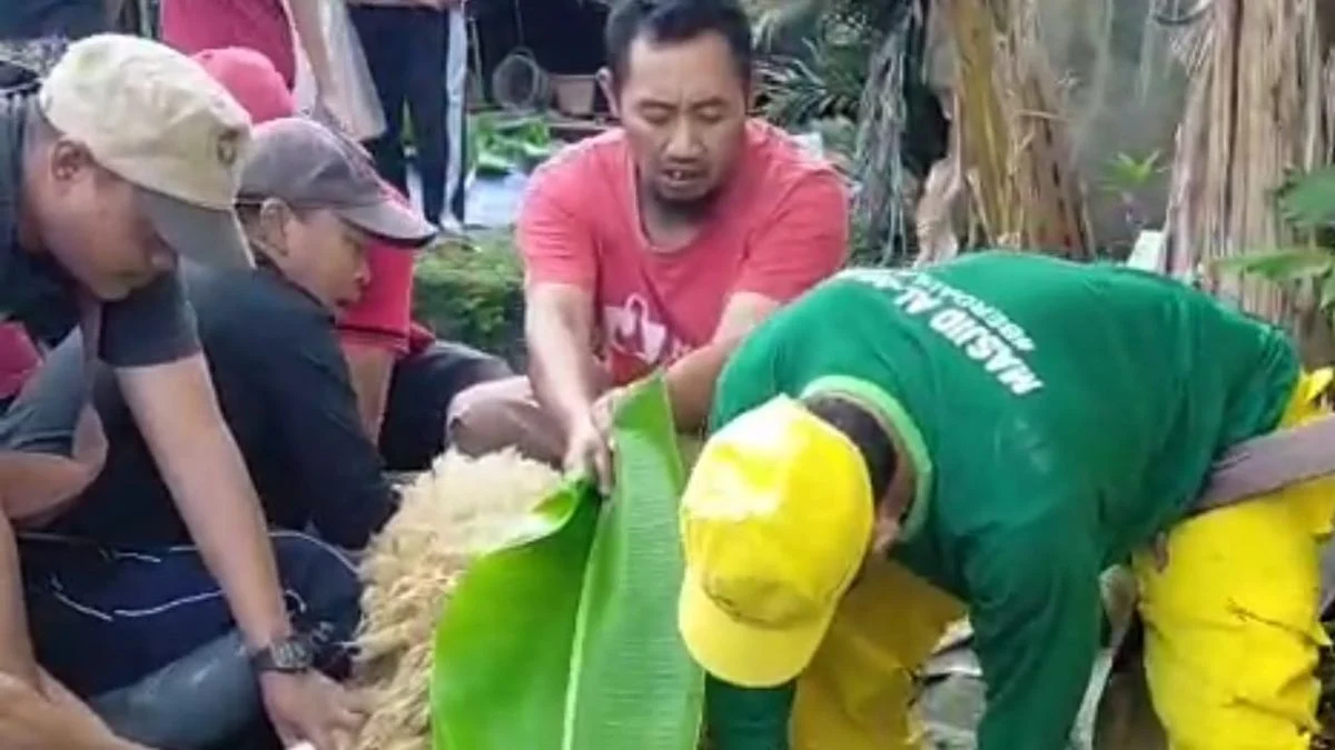 Daging Kurban Indramayu: Warga Manggungan Sambut Penuh Sukacita