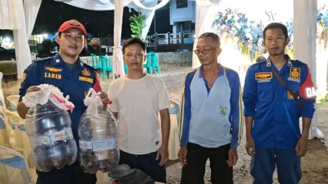 Dua Kobra Muncul di Dapur Hajatan Pernikahan Lohbener, Warga Panik