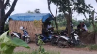 Gubuk Tongkrongan di Tanggul Cimanuk Disinyalir Jadi Sarang Transaksi Obat Keras Daftar G Gubuk Tongkrongan di Tanggul Cimanuk Disinyalir Jadi Sarang Transaksi Obat Keras Daftar G