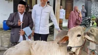 Hewan Kurban Indramayu: Data Terbaru Ribuan Ekor Tahun Ini Hewan Kurban Indramayu: Data Terbaru Ribuan Ekor Tahun Ini