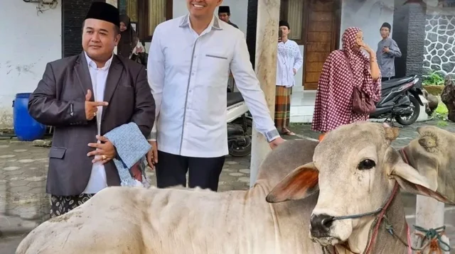 Hewan Kurban Indramayu: Data Terbaru Ribuan Ekor Tahun Ini