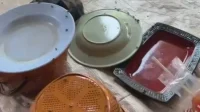 Kandang Ayam Broiler Blok Kamplong: Lalat Merajalela, Warga Drunten Wetan Resah