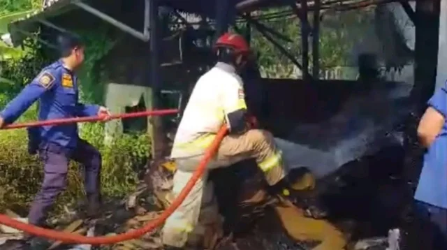 Kebakaran Gudang Kardus Totoran: Damkar Indramayu Berjibaku Padamkan
