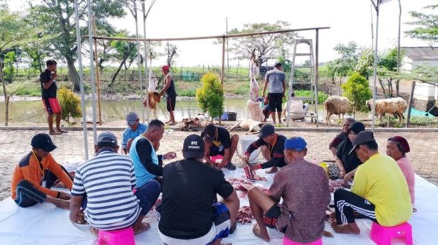 Masjid Miftahul Huda Bagikan 14 Kambing Kurban Idul Adha