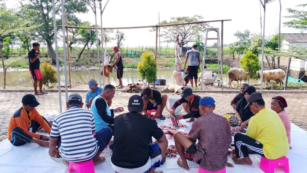 Masjid Miftahul Huda Bagikan 14 Kambing Kurban Idul Adha