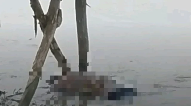 Mayat Pria Lansia Ditemukan di Sungai Sukamulya Indramayu