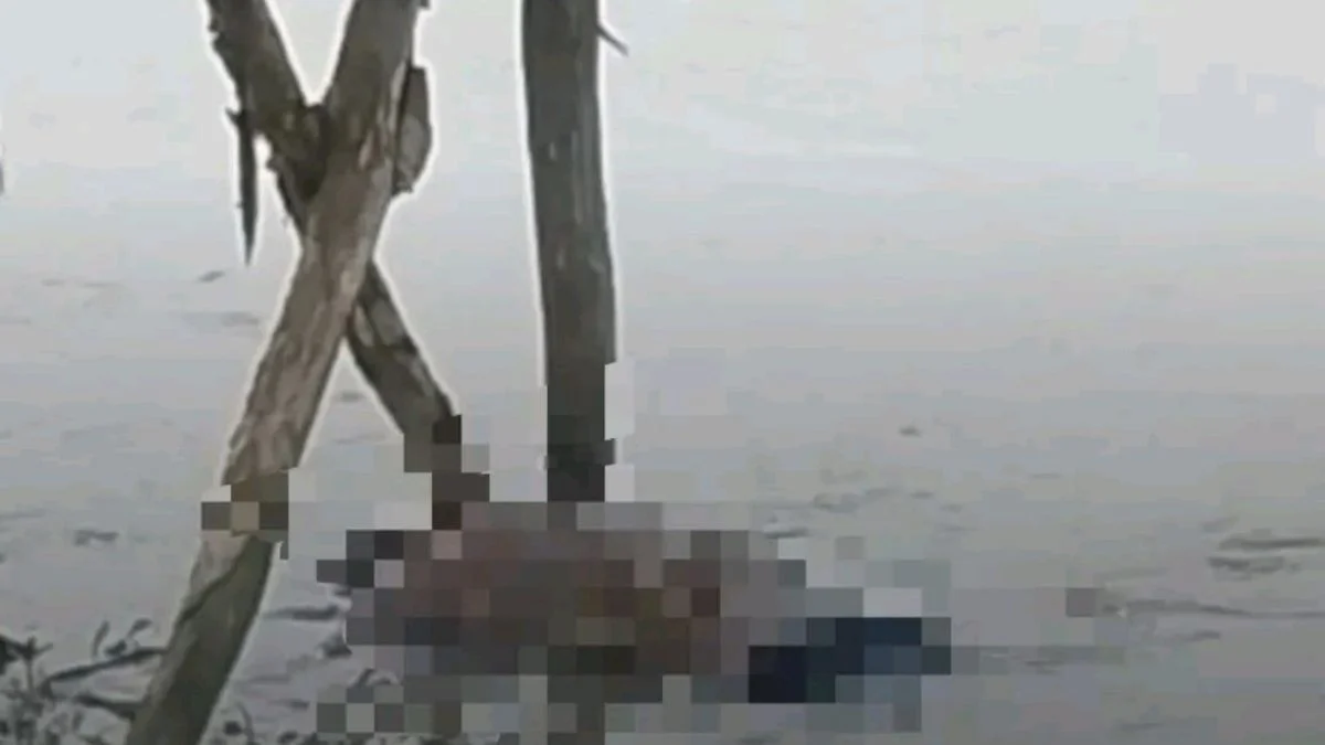 Mayat Pria Lansia Ditemukan di Sungai Sukamulya Indramayu