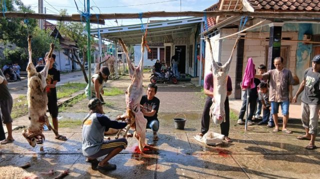 Pembagian Daging Kurban: Sumber Kebahagiaan Warga Penuh Haru
