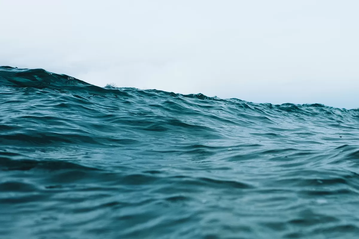 Peneliti Mengungkap Kehidupan Laut Dalam: Limpet Terdalam dan Belut Tanpa Wajah di Samudra Pasifik