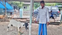 PT Kawaguchi Kurban Peduli: Warga Jumbleng Bahagia Idul Adha