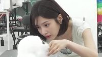 Red Velvet Joy Tingkatkan Keterampilan Demi Sertifikasi Perawatan Hewan