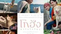 Tayangan Gohan 2026 di Thailand: Sinopsis, Aktor, dan Tanggal Rilis