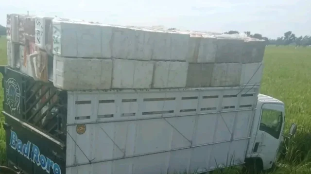 Truk Terperosok ke Parit Akibat Diduga Sopir Mengantuk di Bundaran Widasari Indramayu
