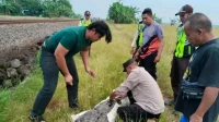 Wanita Cirebon Tewas Tertemper KA Manahan Indramayu Dini Hari