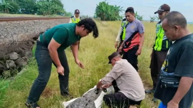 Wanita Cirebon Tewas Tertemper KA Manahan Indramayu Dini Hari