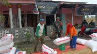 Babinsa Dampingi Panen Padi Sumuradem: Ukur Hasil Tani untuk Kesejahteraan Babinsa Dampingi Panen Padi Sumuradem: Ukur Hasil Tani untuk Kesejahteraan