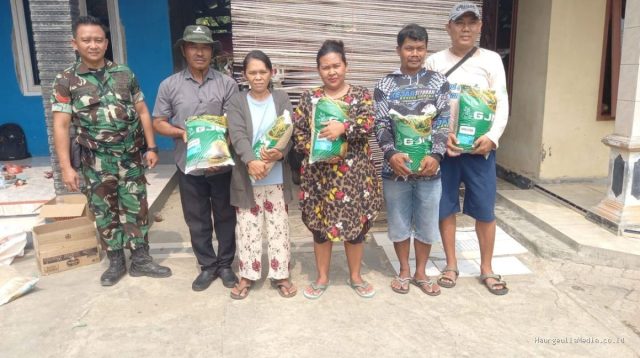 Babinsa Koptu Lukman Kawal Benih Inpari 32 HDB: Gempur Ketahanan Pangan