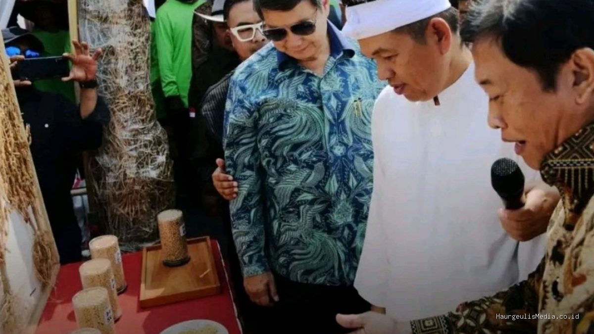 Dedi Mulyadi & Hashim: Gerakan Swasembada Kedelai Indramayu