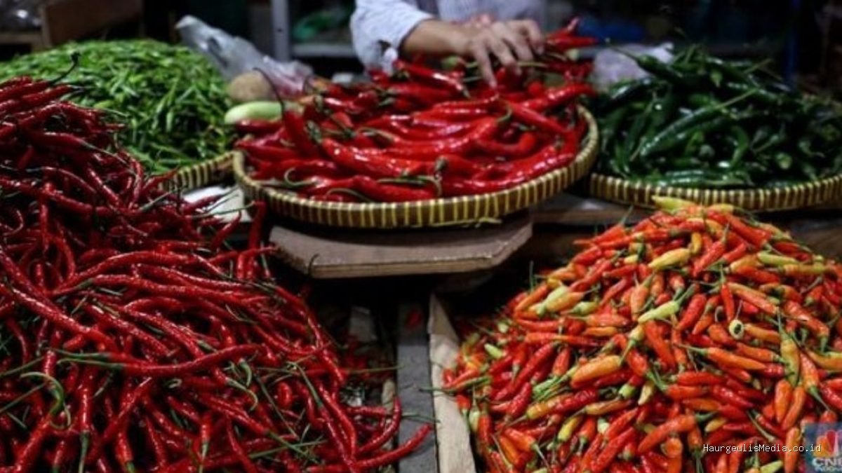 Harga Cabai Rawit Hijau Rp50 Ribu/Kg di Pasar Tulungagung Indramayu