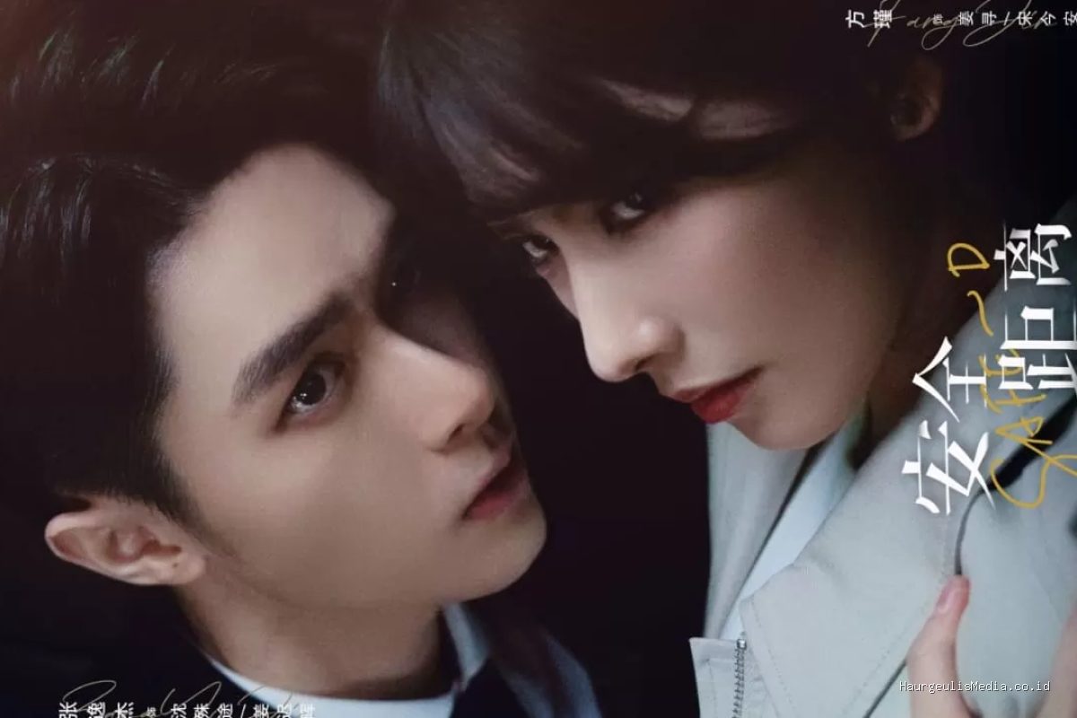 Kisah Cinta dalam Drama China Safety Distance: Dunia Intelijen dan Para Pemainnya