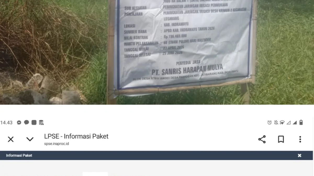 LPSE vs Papan Proyek Irdes 2 Krimun Indramayu: Perbedaan Data Informasi