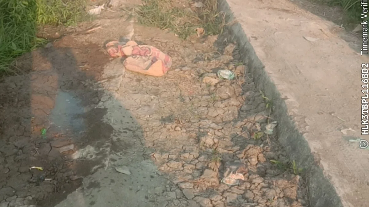Petani Sawah Indramayu Keluhkan Saluran Tersier Tersumbat Tanah