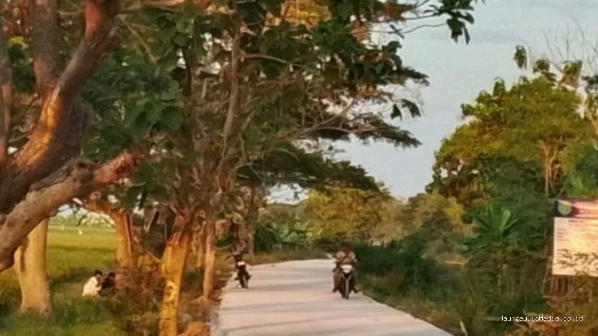 Program Rekonstruksi Jalan Krangkeng: Bangun Infrastruktur Ekonomi Setra
