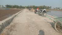 Proyek Rekonstruksi Jalan Indramayu: Volume Tak Jelas, Disorot Publik