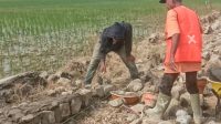 Proyek Rekonstruksi Sukamelang – SP Kedokan Gabus Indramayu Disorot