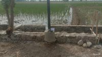 TPT Indramayu: Proyek Sukamelang-Kedokan Gabus, Pohon Dibiarkan Ada!