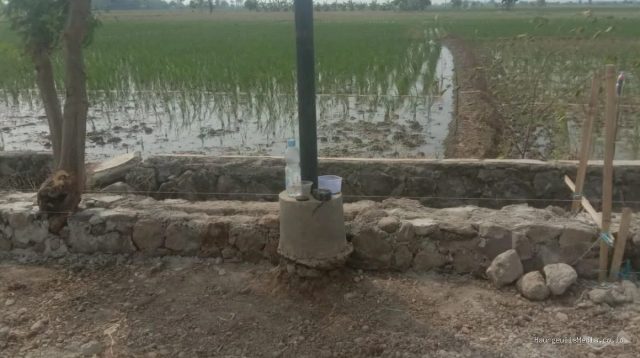 TPT Indramayu: Proyek Sukamelang-Kedokan Gabus, Pohon Dibiarkan Ada!